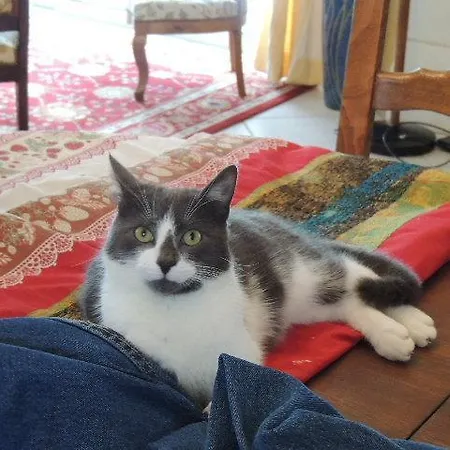 בית הארחה La Jarillais 4*