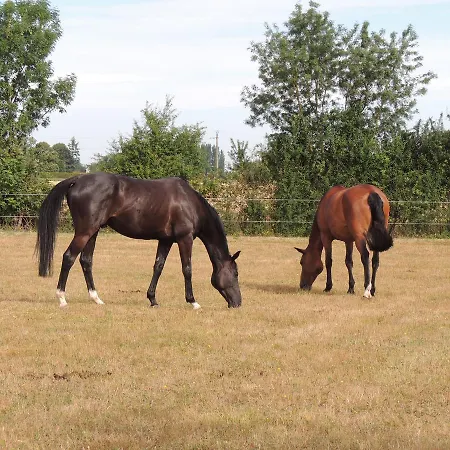 La Jarillais 4* סומור