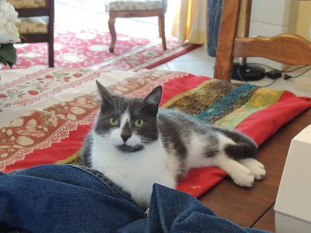 Guest house La Jarillais 4*