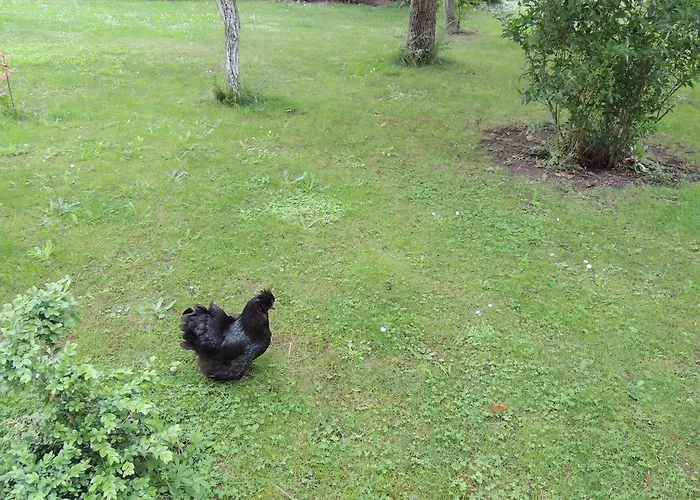 Gasthuis La Jarillais 4*