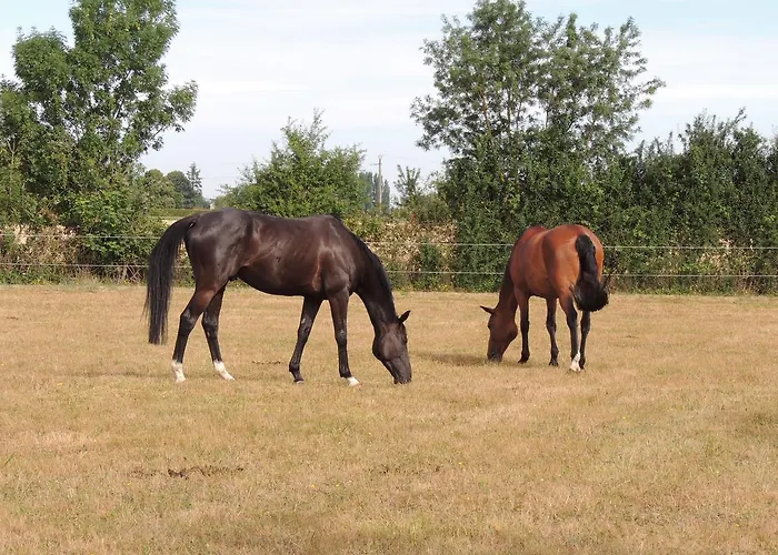 La Jarillais 4* Saumur