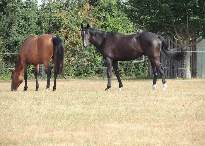 بيت ضيافة La Jarillais 4*